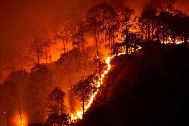 California wildfire. Photo by Naveen Nkadalaveni, Wikimedia Commons