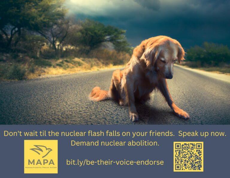 unhappy dog hoping he won't get bombed