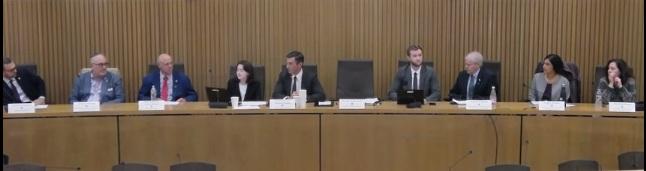 Members of the State Commission on Antisemitism at Sept 25, 2025 hearing. Frame from State Legislature webcast